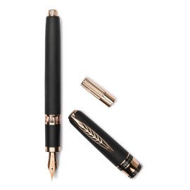 Penna stilografica Pineider Alchemist Stant Stromboli Black Rose Gold - Pennino F 14K