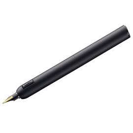 Penna stilografica Lamy Dialog cc All Black pennino F 1237495