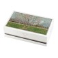 Penna stilografica Visconti Van Gogh Orchard Blossom Pennino F