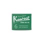 Cartucce d'inchiostro Kaweco colore verde palma 6 pezzi