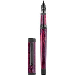 Montegrappa Penna stilografica Quattro Stagioni Inverno by D'O pennino F 14k