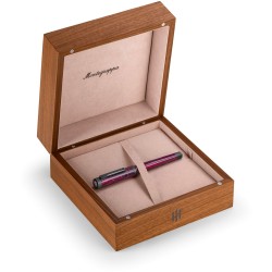 Montegrappa Penna stilografica Quattro Stagioni Inverno by D'O pennino F 14k