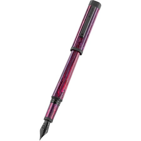 Montegrappa Penna stilografica Quattro Stagioni Inverno by D'O pennino EF 14k