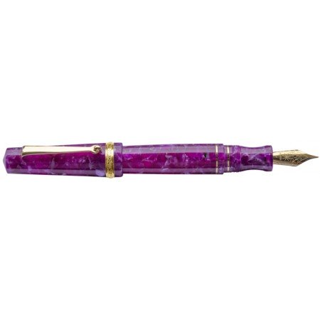 Penna stilografica Maiora Aventus Deep Purple pennino F