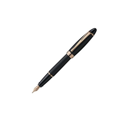 Aurora Ipsilon Resin Satin Fountain Pen Black Fine nib