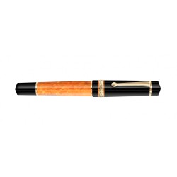 Delta DV Original Fountain Pen Mid-Size Gold trim Fine nib