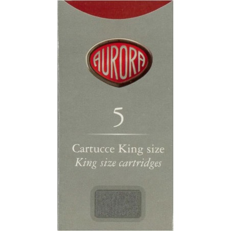 Aurora Fountain Pen Cartridges Grey