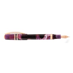 Visconti Homo Sapiens Fountain Pen Iris Garden EF nib