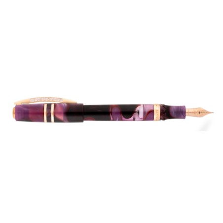 Visconti Homo Sapiens Fountain Pen Iris Garden M nib