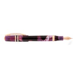 Visconti Homo Sapiens Fountain Pen Iris Garden F nib