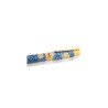 Penna stilografica Visconti Van Gogh Dreaming Starry Night - pennino F - Edizione Limitata