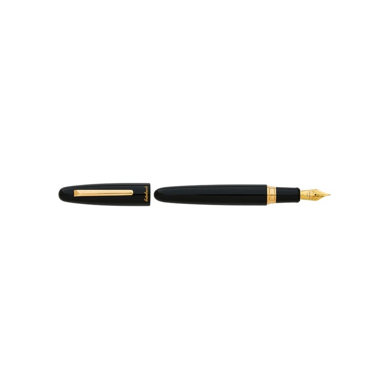 Penna stilografica Esterbrook Estie Oversize Ebony Black Pennino Fine  E176-F