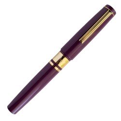 Penna stilografica Esterbrook Model J Ebonite Blackberry Gold Trim Pennino F