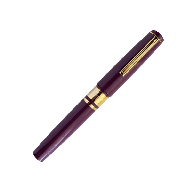 Esterbrook Model J Fountain Pen Ebonite Blackberry Gold Trim F Nib