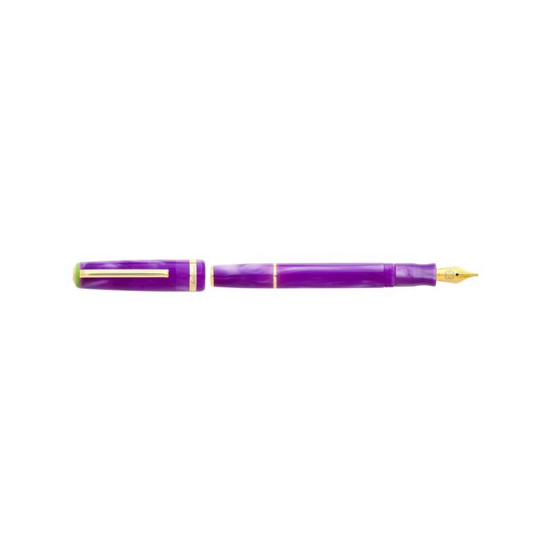 Penna stilografica Esterbrook JR Pocket Purple Passion EJRPP-F