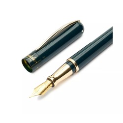 Penna Stilografica Pineider Anniversary Green Pennino Fine