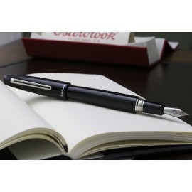 Penna stilografica Esterbrook Estie Ebony Palladium E106-F