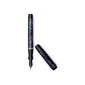 Pineider LGB Rock Fountain Pen Blue FP FM