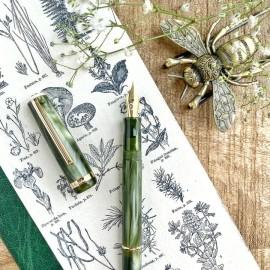 Penna stilografica Esterbrook JR Palm Green Pennino F